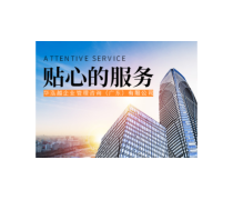 構(gòu)建高效產(chǎn)品庫(kù) 企業(yè)管理咨詢(xún)的核心策略與實(shí)踐