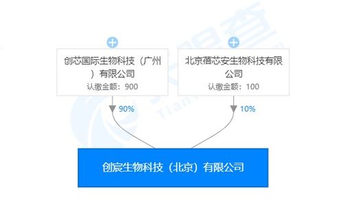 創(chuàng)宸生物獲創(chuàng)芯國際戰(zhàn)略加持，以類器官技術(shù)引領(lǐng)個體化醫(yī)療新紀(jì)元