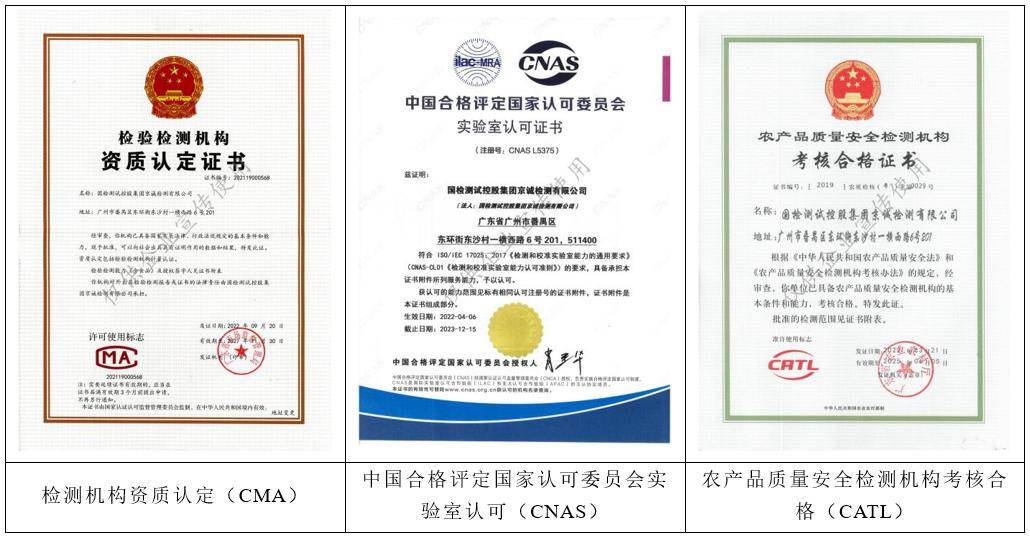 中國國檢測試控股集團 引領(lǐng)環(huán)保技術(shù)咨詢與服務(wù)的卓越獲證單位